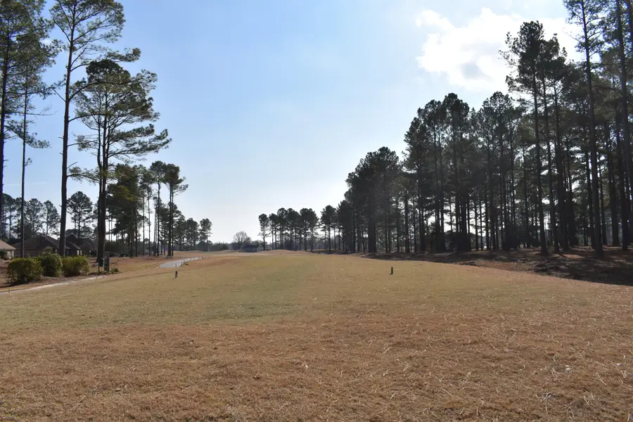 400 Pine Lake Court, Manning, SC 29102 - #3