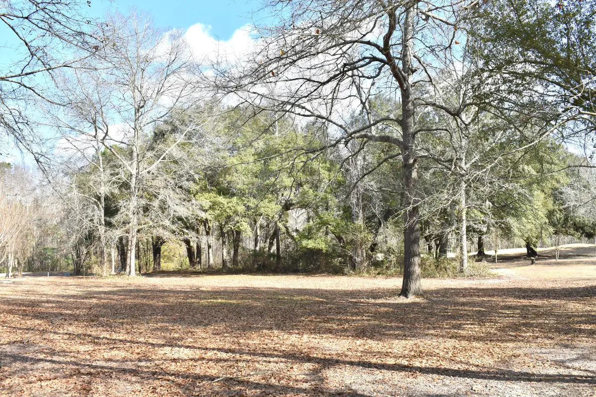21 Fairway Drive, Manning, SC 29102 - #1