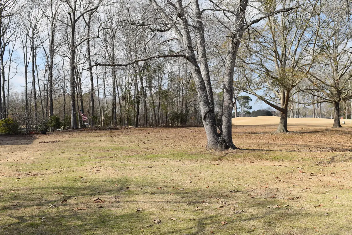 42 North Lake Circle, Manning, SC 29102 - #1