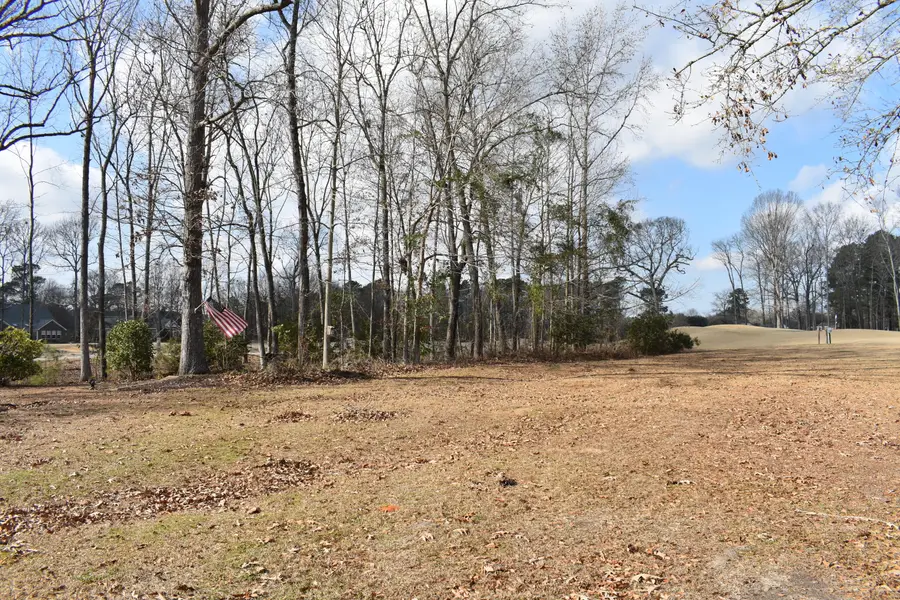 42 North Lake Circle, Manning, SC 29102 - #2