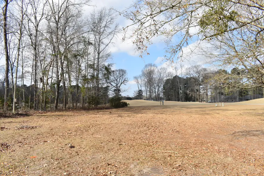 42 North Lake Circle, Manning, SC 29102 - #3