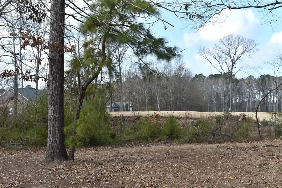 50 North Lake Circle, Manning, SC 29102 - #2