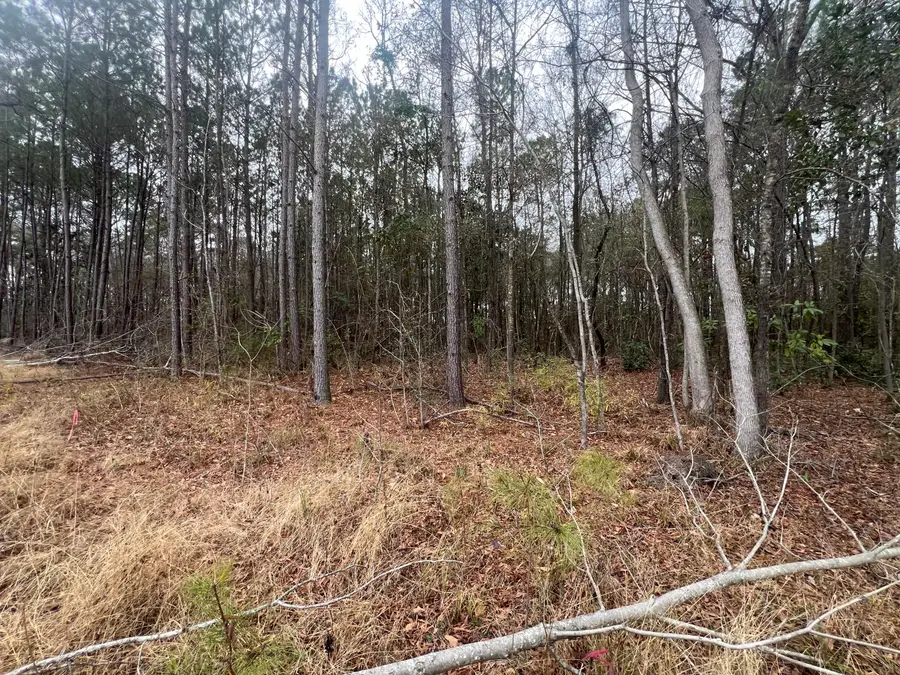 00 Hunters Ridge Lane, North Charleston, SC 29420 - #2