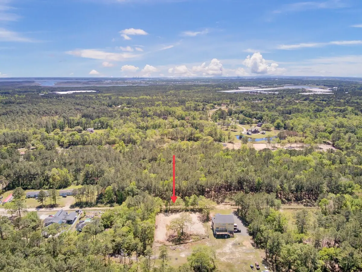 219 Sarah Lincoln Road, Wando, SC 29492 - #1