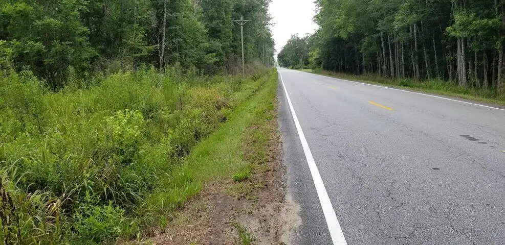 0 Jacksonboro Road, Round O, SC 29474 - #1
