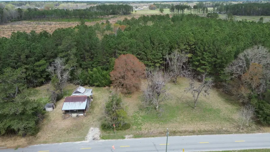 1465 Jakes Road, Turbeville, SC 29162 - #2