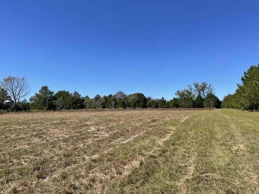 0 Carolina Highway, Olar, SC 29843 - #2