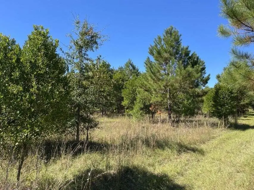 0 Carolina Highway, Olar, SC 29843 - #3