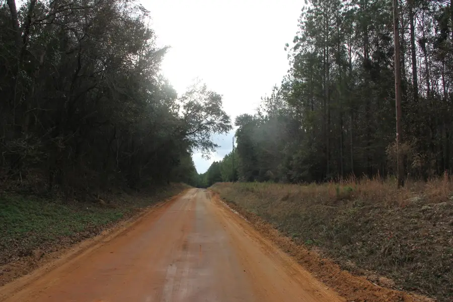 00 Raymond Rd Road, Orangeburg, SC 29118 - #3