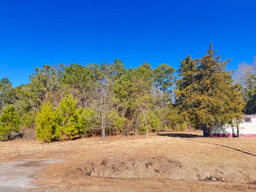 6080 Cayce Road, Lodge, SC 29082 - #3