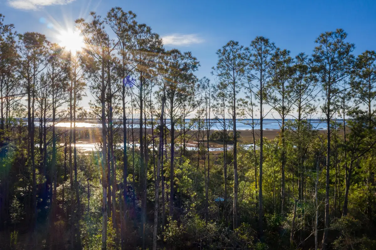 2292 Minifarm Way #526, Mount Pleasant, SC 29466 - #1