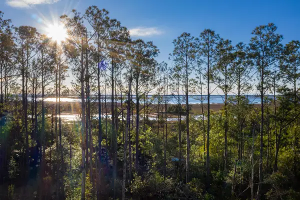 2292 Minifarm Way #526, Mount Pleasant, SC 29466