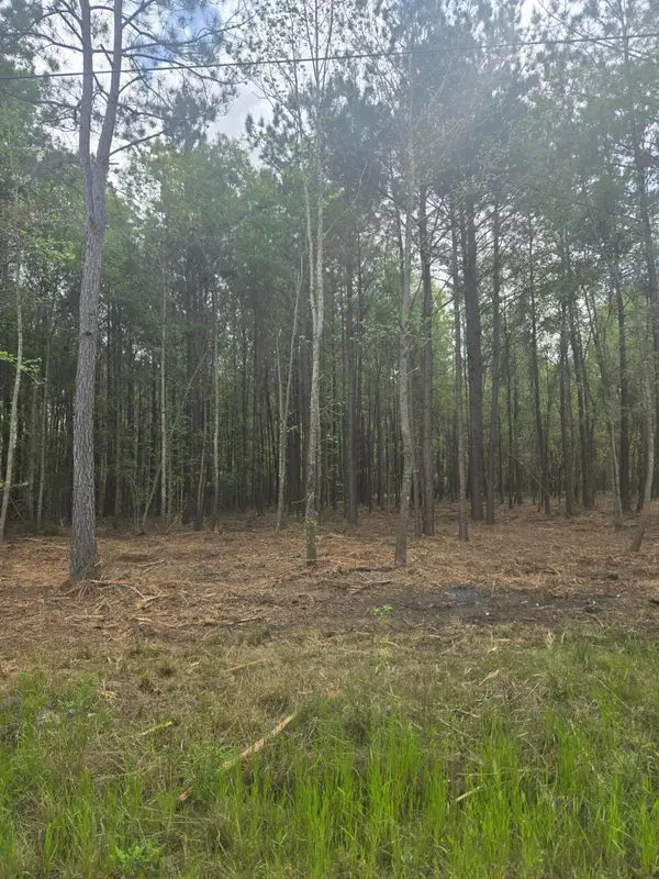 00 Whitestone Drive, Reevesville, SC 29471