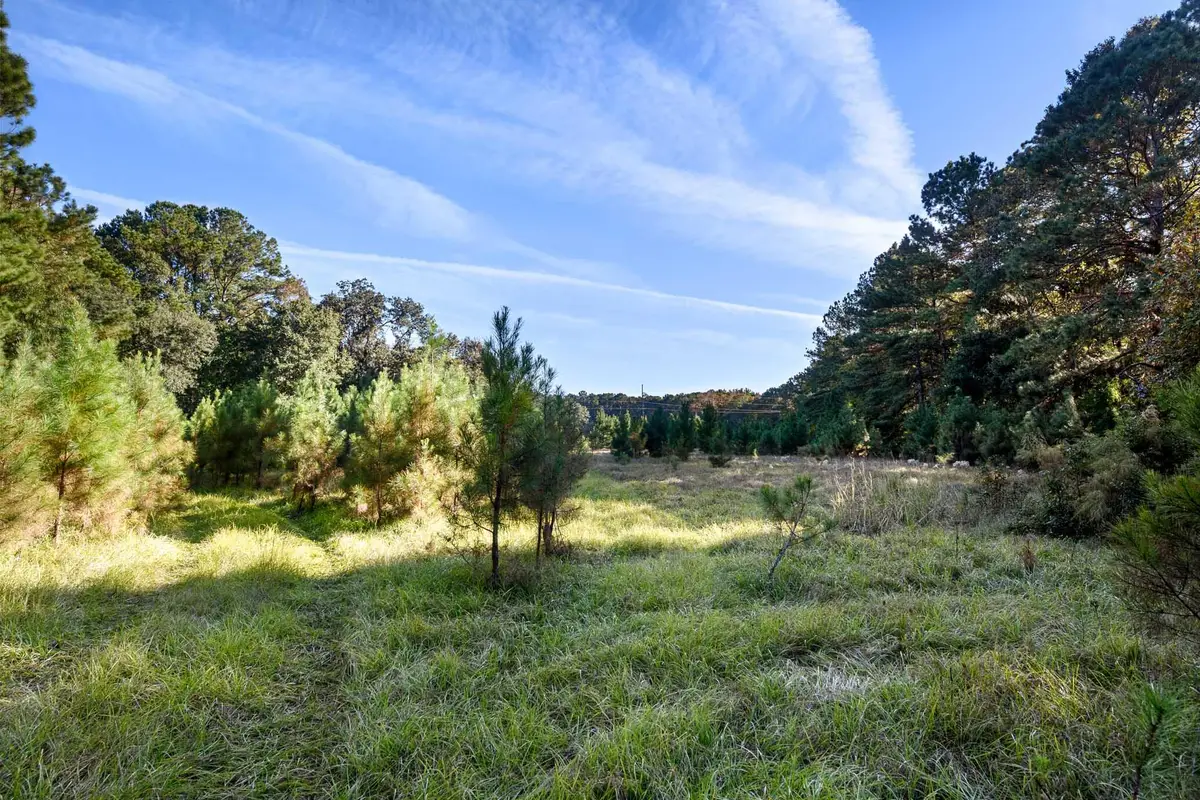 2476 Joseph Pearline Road, Johns Island, SC 29455 - #1