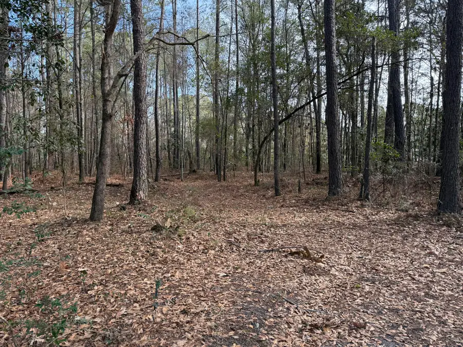 0 Lazy Hill Road, Moncks Corner, SC 29461 - #2