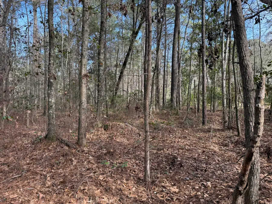 0 Lazy Hill Road, Moncks Corner, SC 29461 - #3