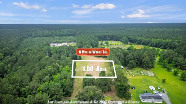 0 Marion Woods Trail, Bonneau, SC 29431
