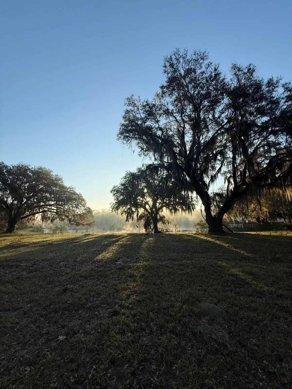 4347 Chisolm Road, Johns Island, SC 29455 - #1