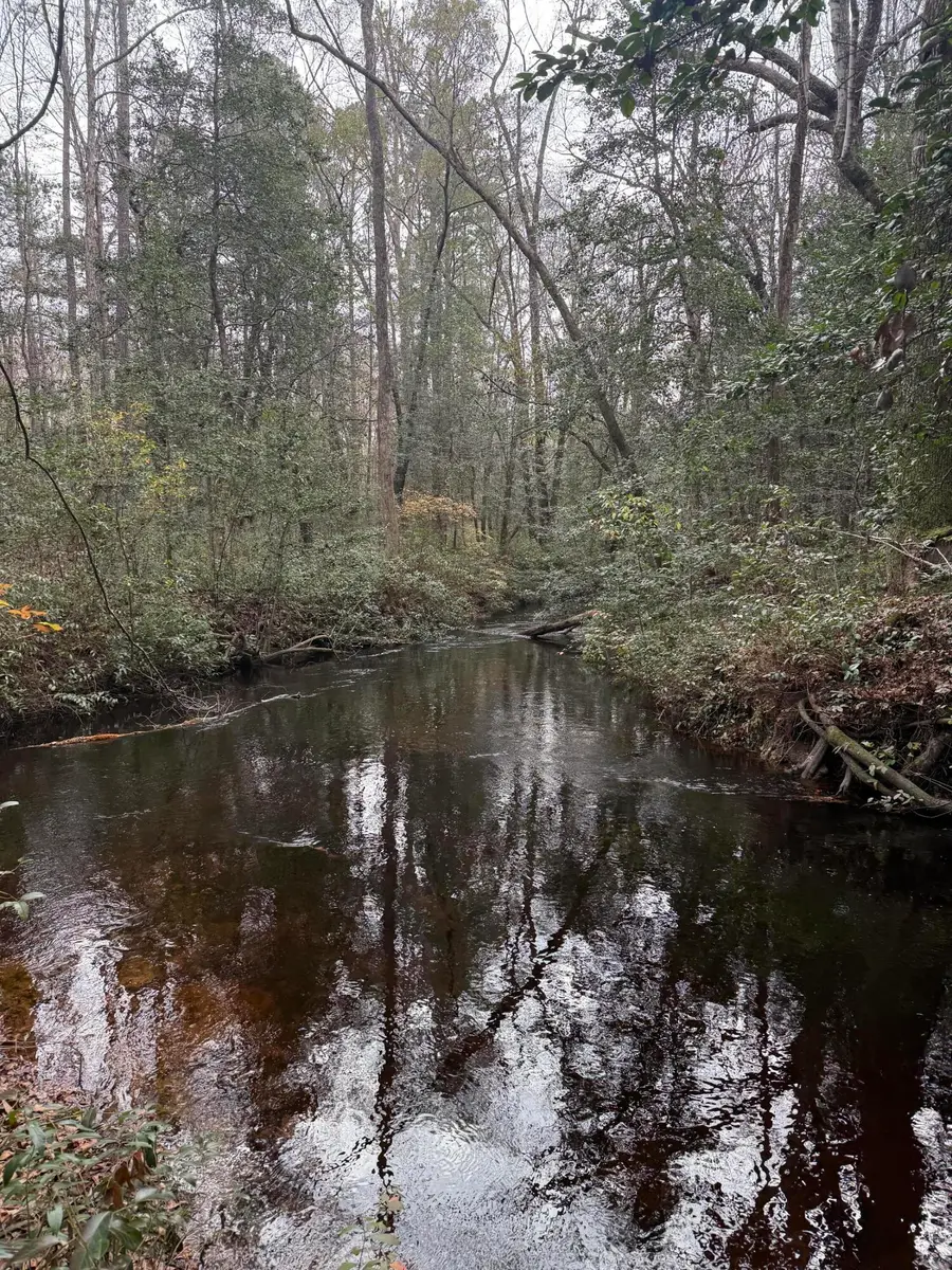 675 Vaughns Mill Pond Road, Camden, SC 29020 - Image #2