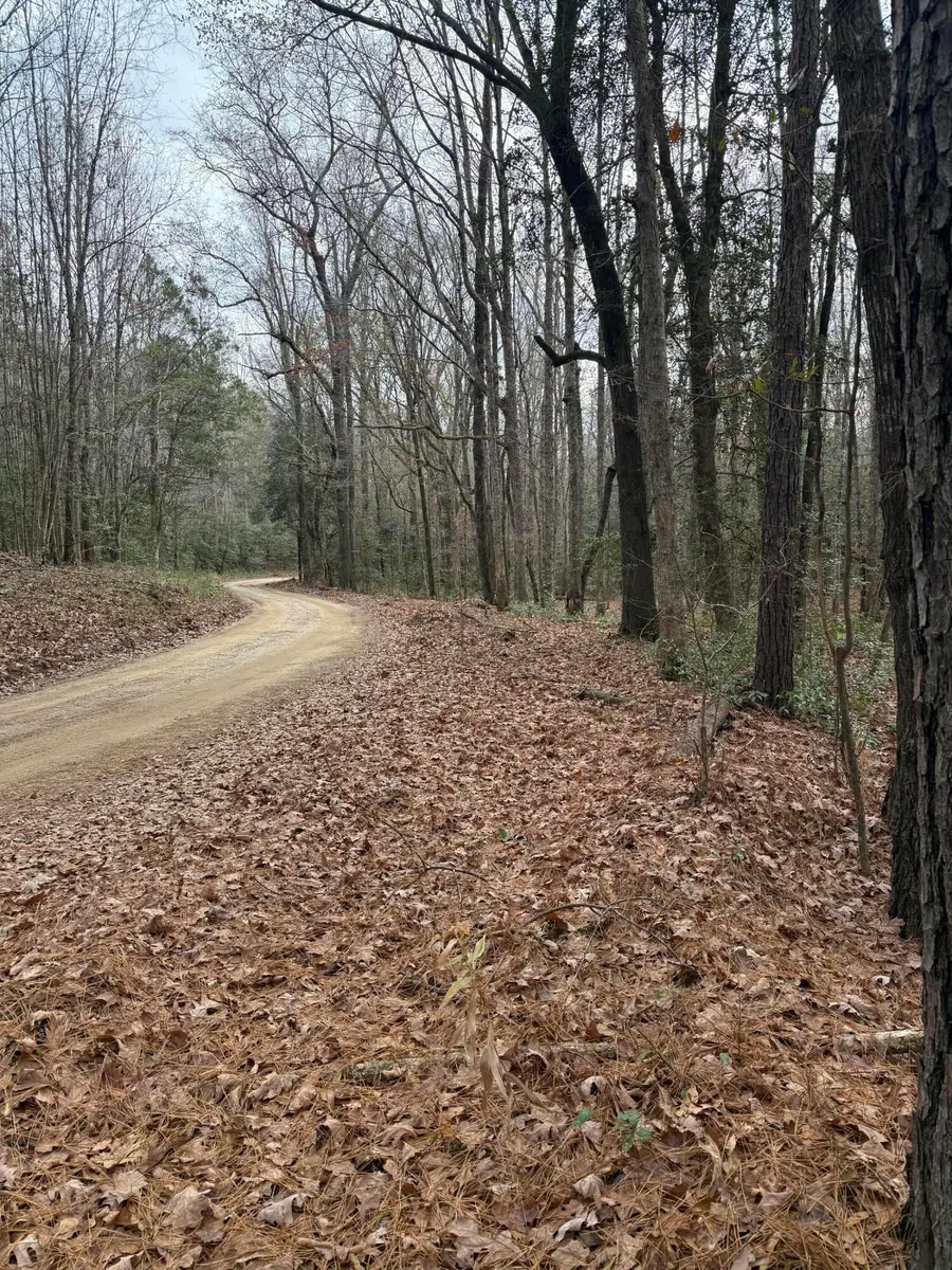 675 Vaughns Mill Pond Road, Camden, SC 29020 - Image #3