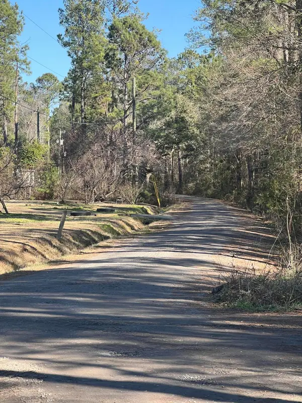 0 Mims Lane, Georgetown, SC 29440