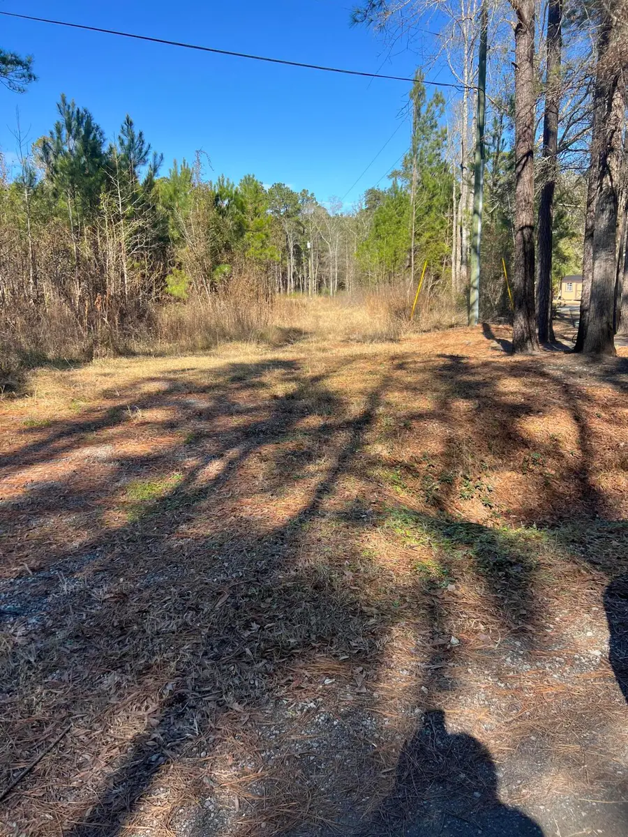 0 Mims Lane, Georgetown, SC 29440 - #2