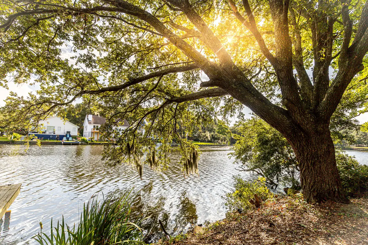 713 Lake Frances Drive, Charleston, SC 29412 - #1