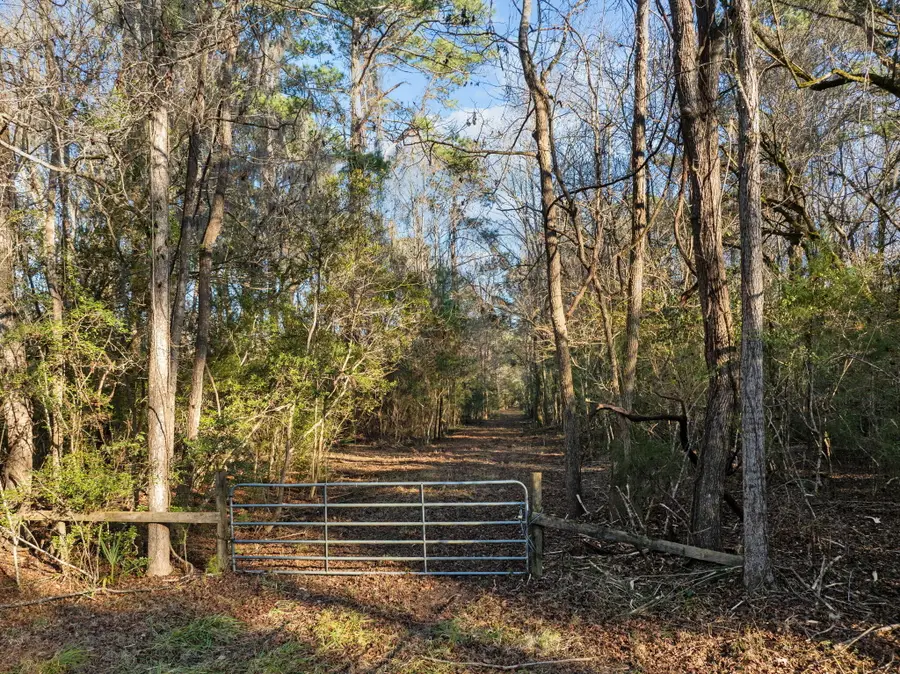 0 Summit Plantation Road, Meggett, SC 29449 - #2