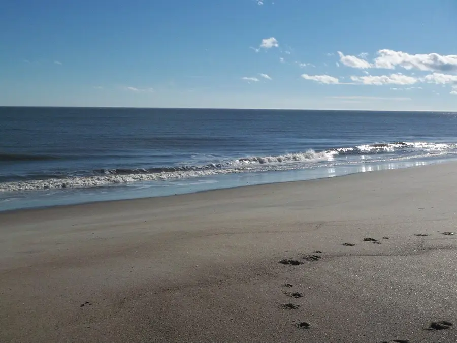 1408 Jungle Road, Edisto Island, SC 29438 - Image #2