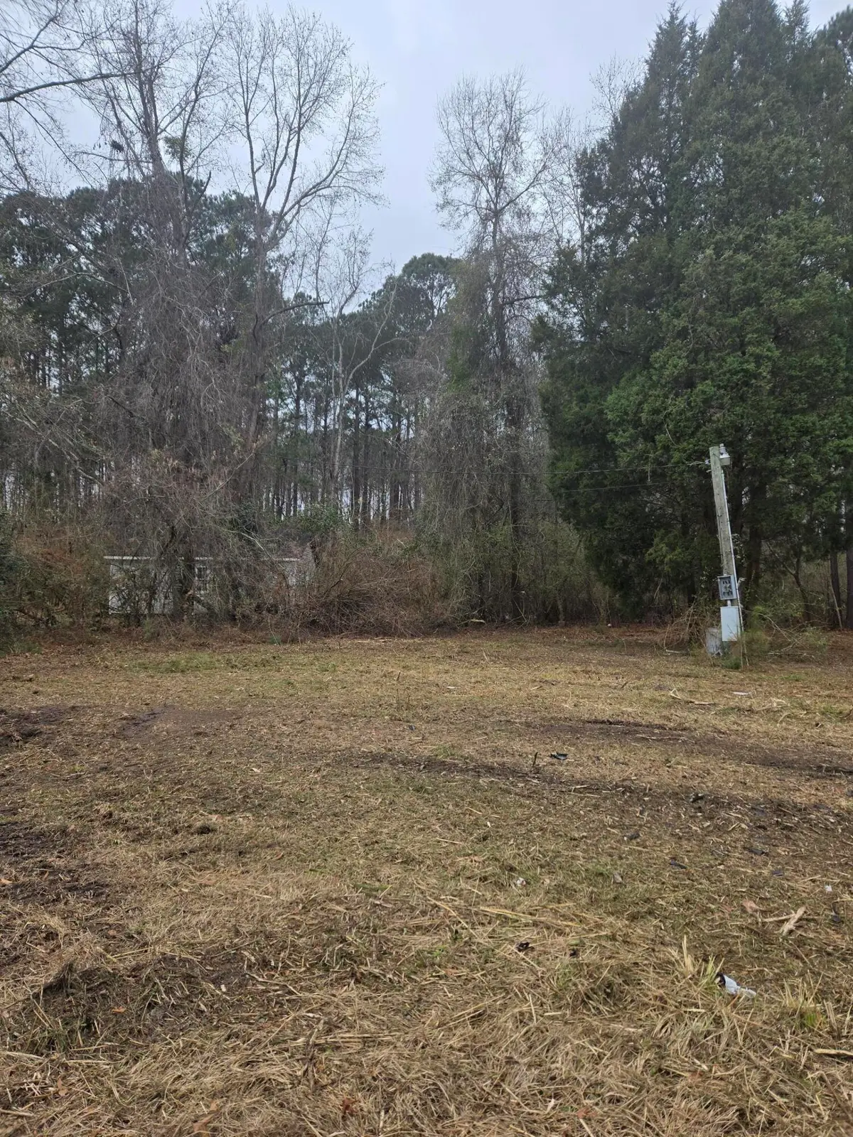 217 Starr Road, Summerville, SC 29483 - Image #1