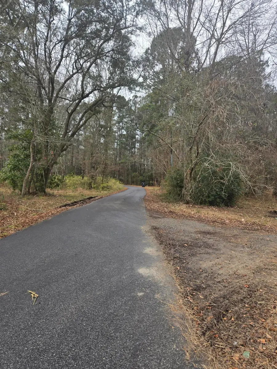 217 Starr Road, Summerville, SC 29483 - Image #3