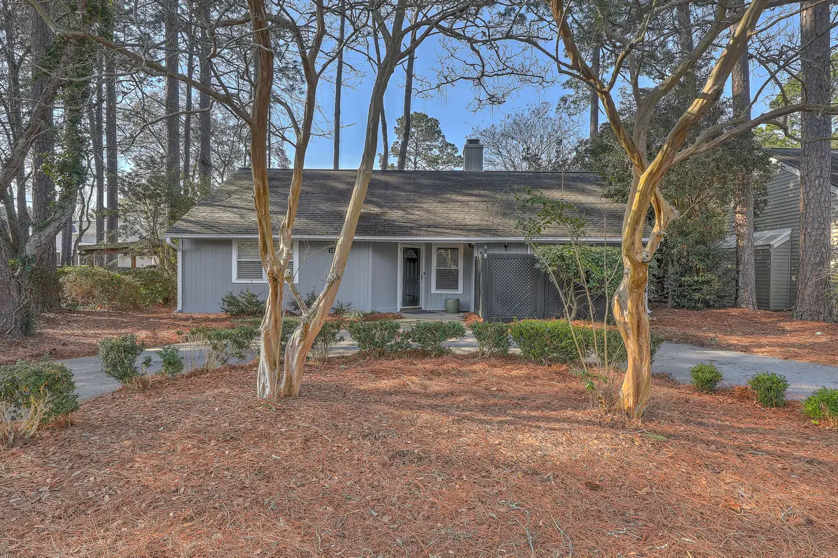 1126 Snap Dragon Court, Mount Pleasant, SC 29464 - #1