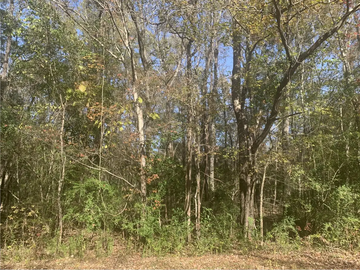 Lot 21 Mary Ellie Drive, Summerville, SC 29483 - #1