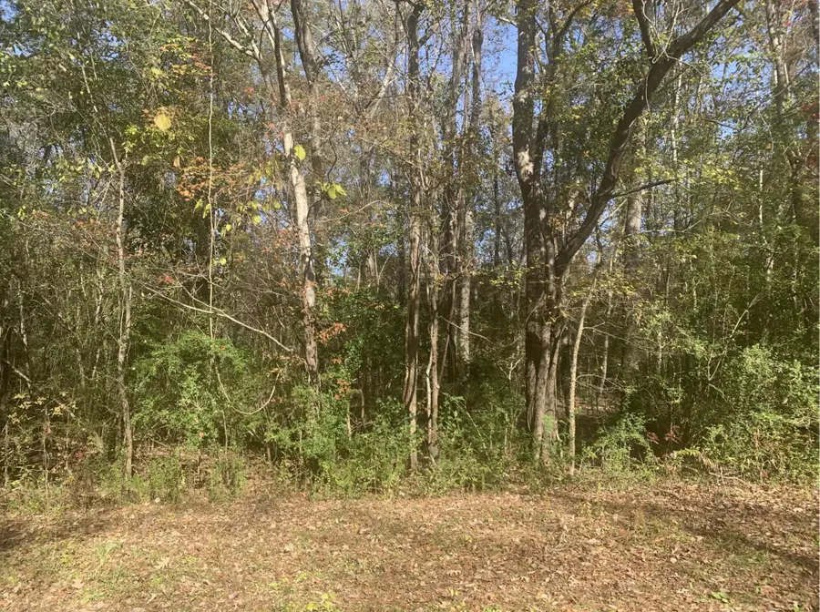 Lot 21 Mary Ellie Drive, Summerville, SC 29483 - #2