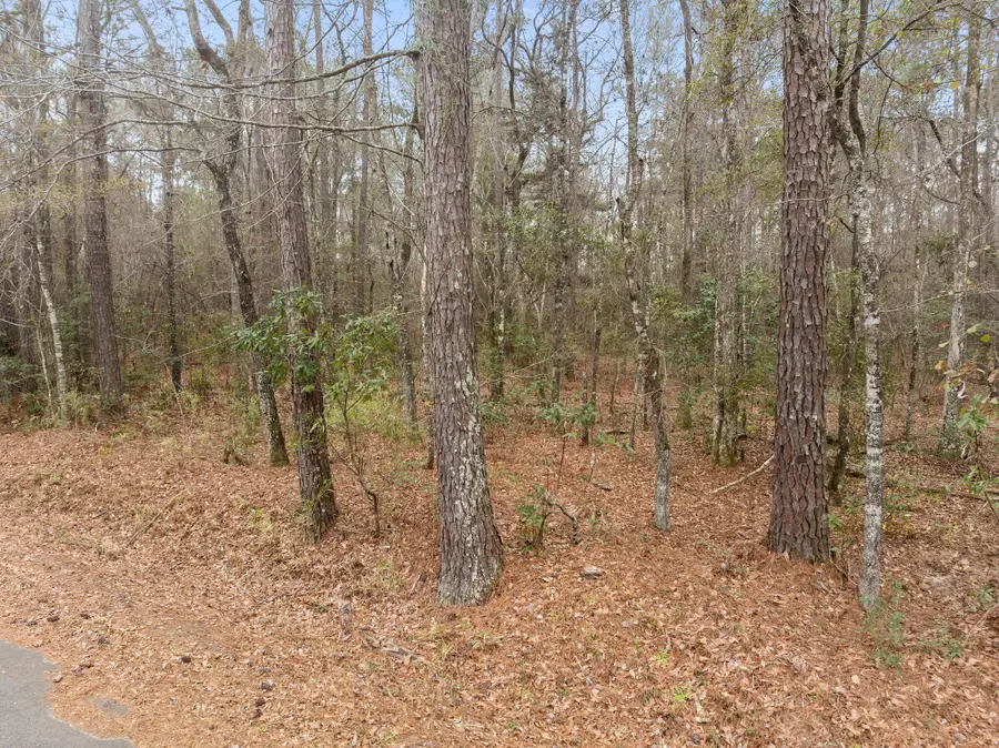 117 Cherrywood Drive, Summerville, SC 29483 - #3