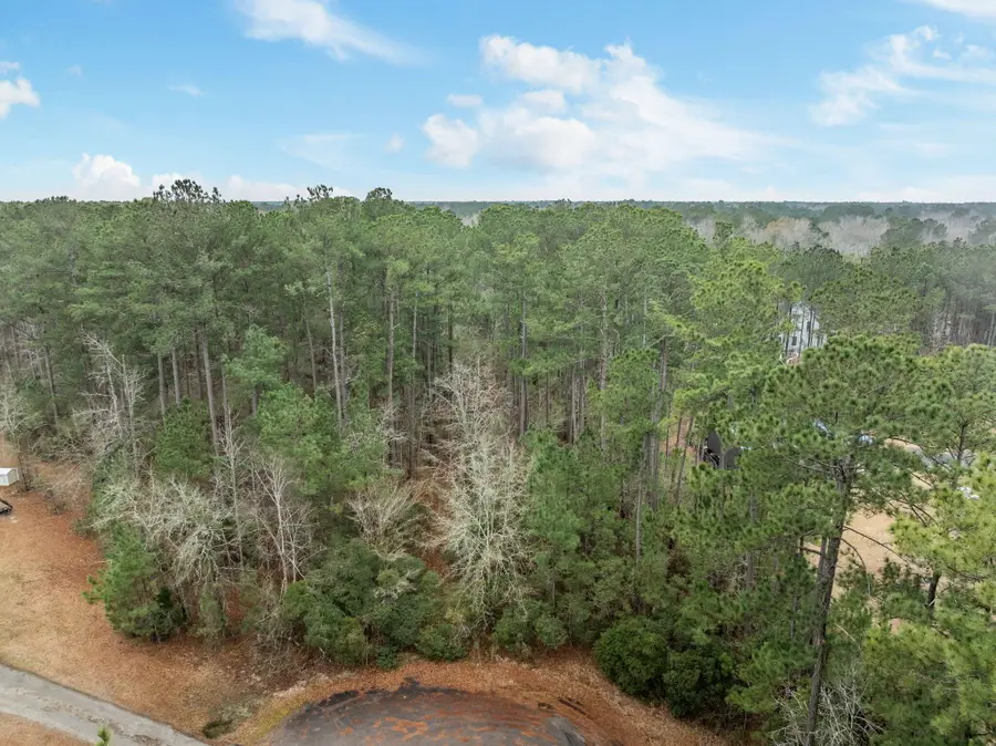 200 Yearling Drive, Summerville, SC 29486 - #2