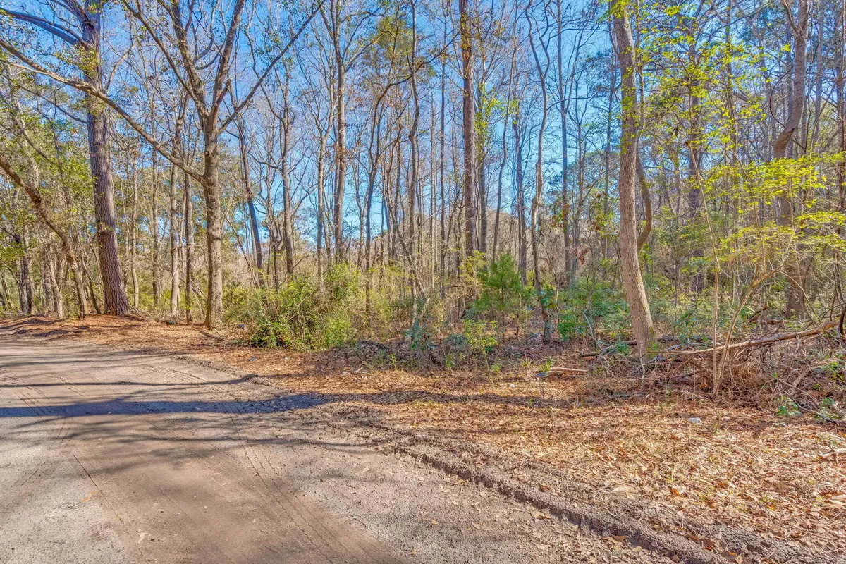 3149 Thomas Jones Road, Johns Island, SC 29455 - #1