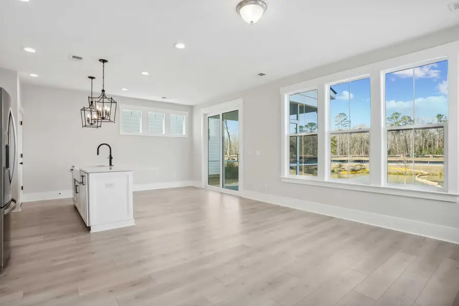 166 Claret Cup Way, Charleston, SC 29414 - #3