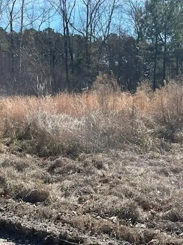 1064 Van Dyke Road, Cottageville, SC 29435 - #1