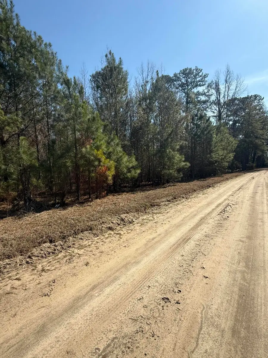 0 Topeka Lane, Holly Hill, SC 29059 - #2