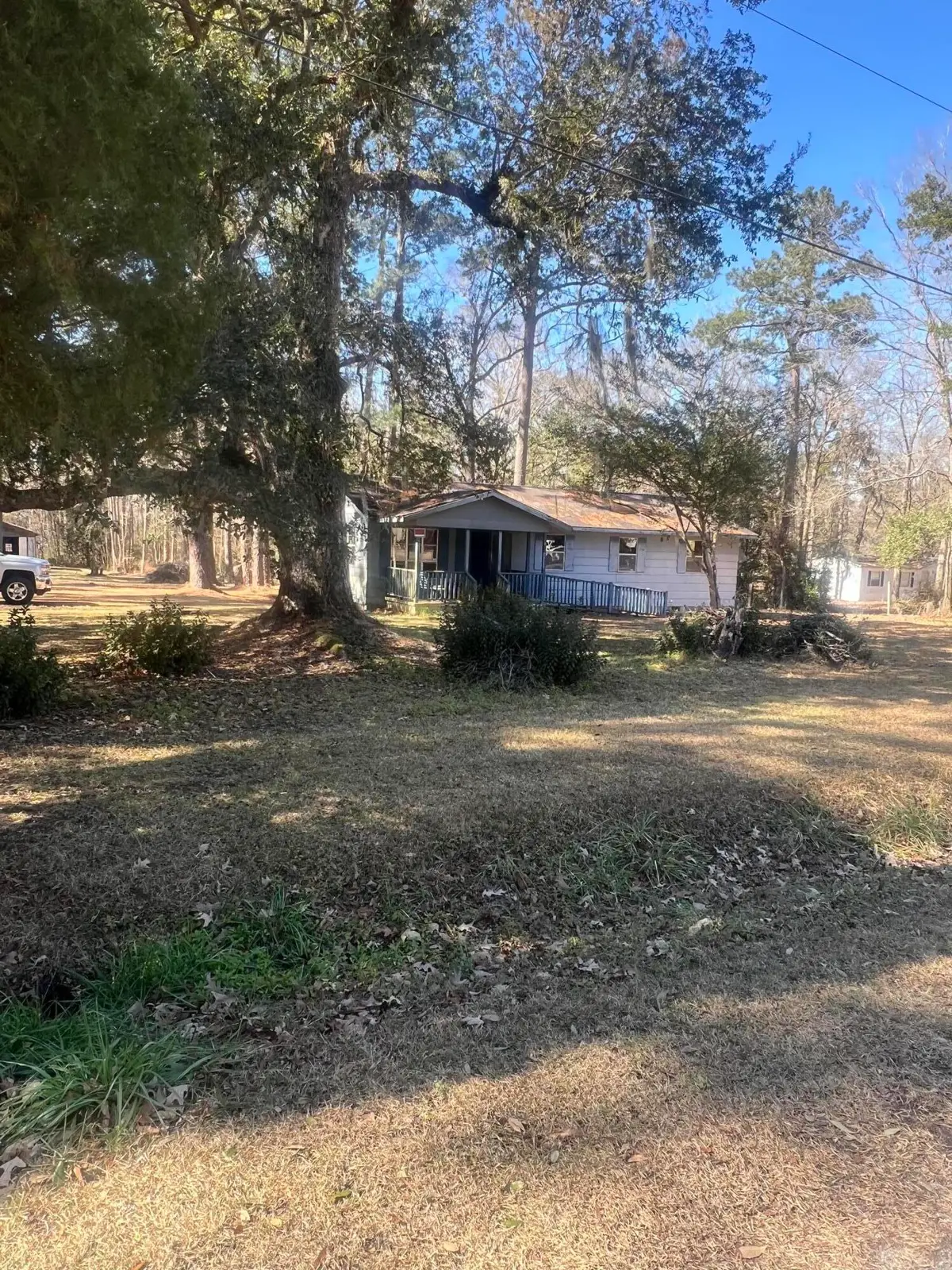 203 N Hartford Drive, Summerville, SC 29483 - #1
