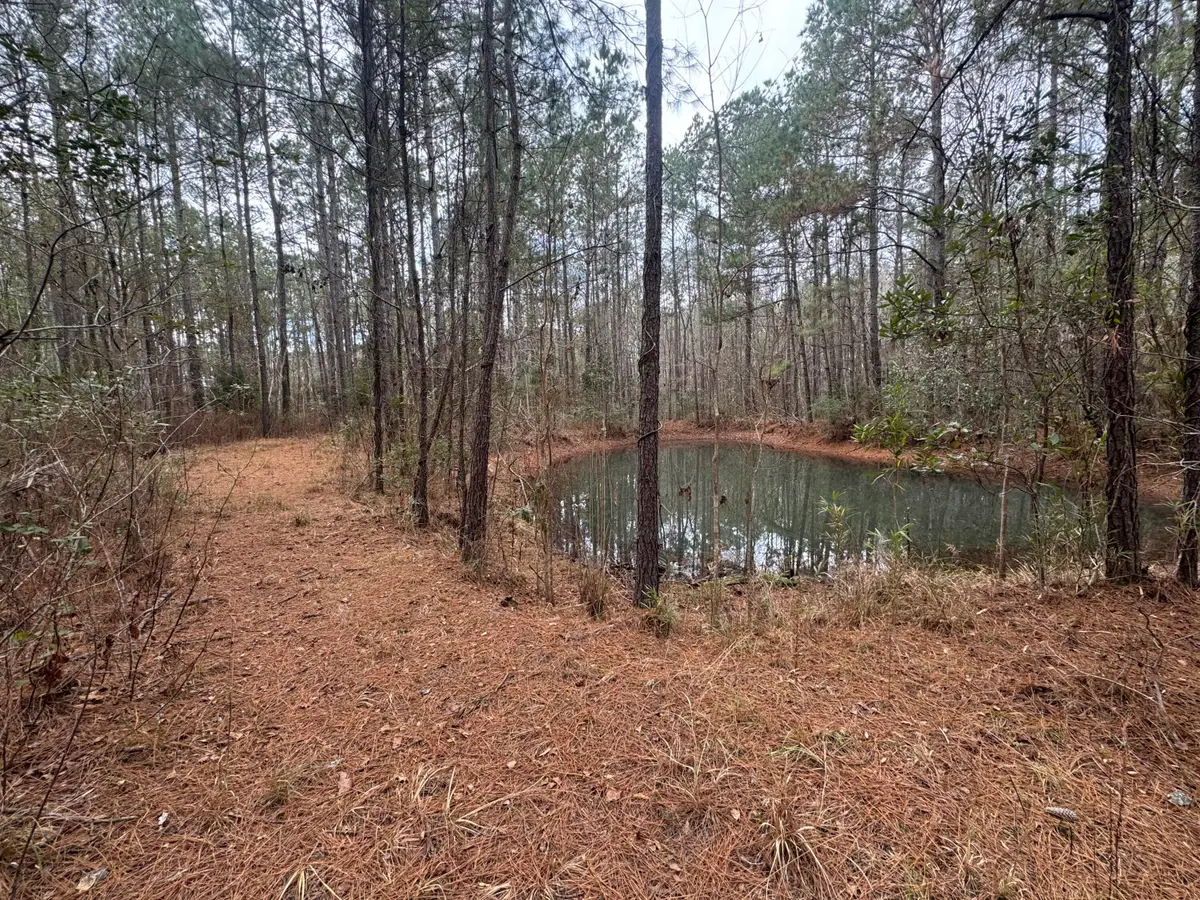 0 Deerhaven Court, Huger, SC 29450 - #1