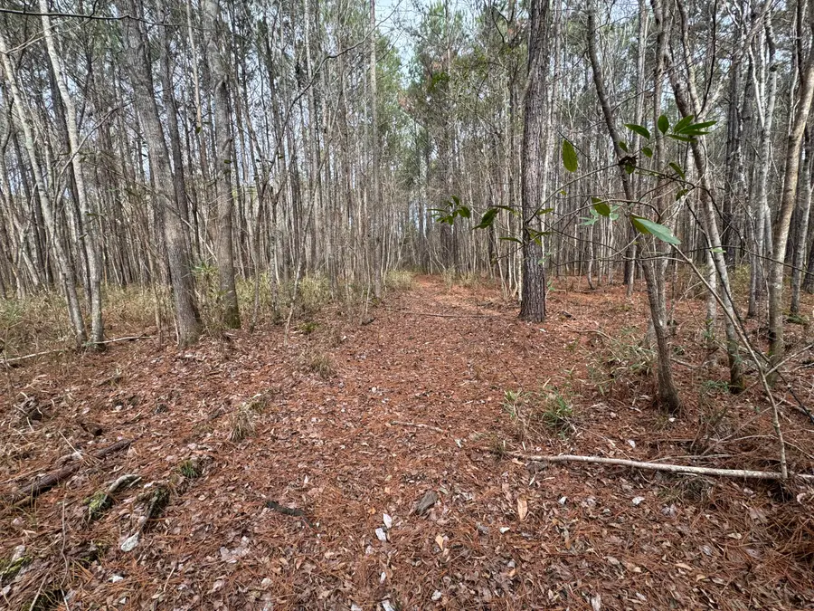 0 Deerhaven Court, Huger, SC 29450 - #3
