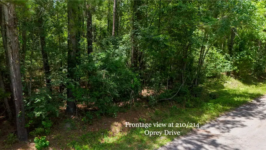 214 Osprey Drive, Moncks Corner, SC 29461 - Image #2