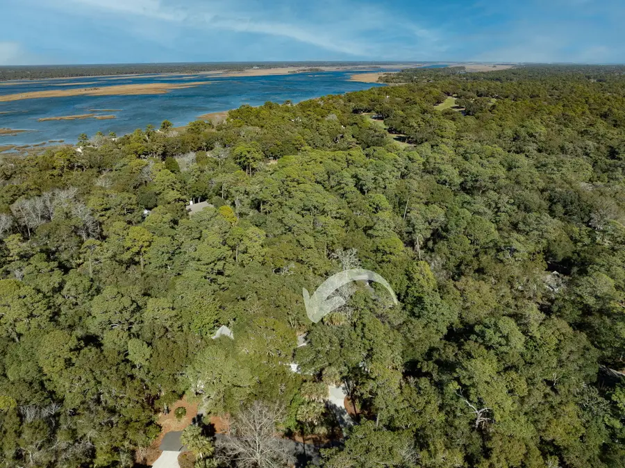 50 Crested Flycatcher, Kiawah Island, SC 29455 - #2