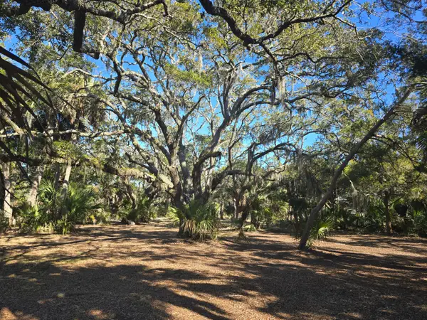 58 Painted Bunting Trail, Edisto Island, SC 29438
