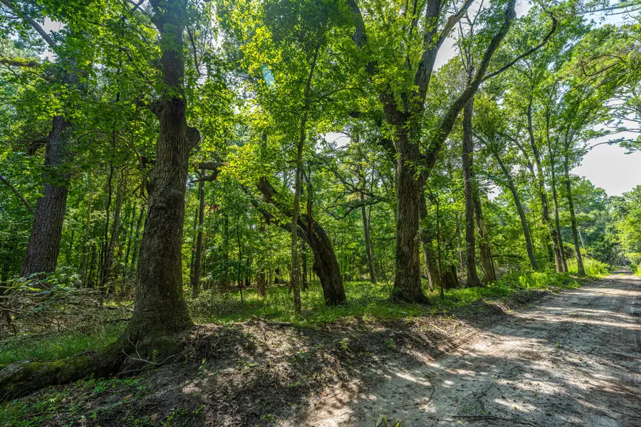 0 Geneva Shaw Lane, Wadmalaw Island, SC 29487 - #2