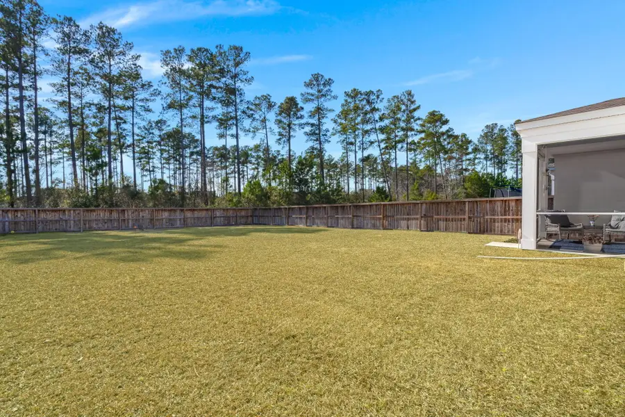 648 Chigwell Springs Lane, Summerville, SC 29486 - #2