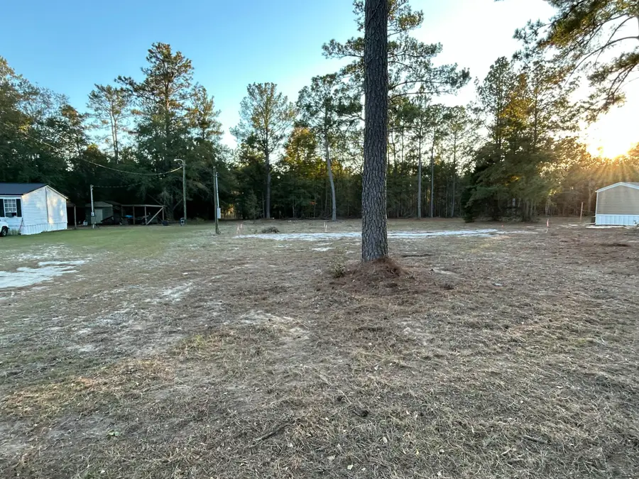 203 Podium Road, Cordova, SC 29039 - #3