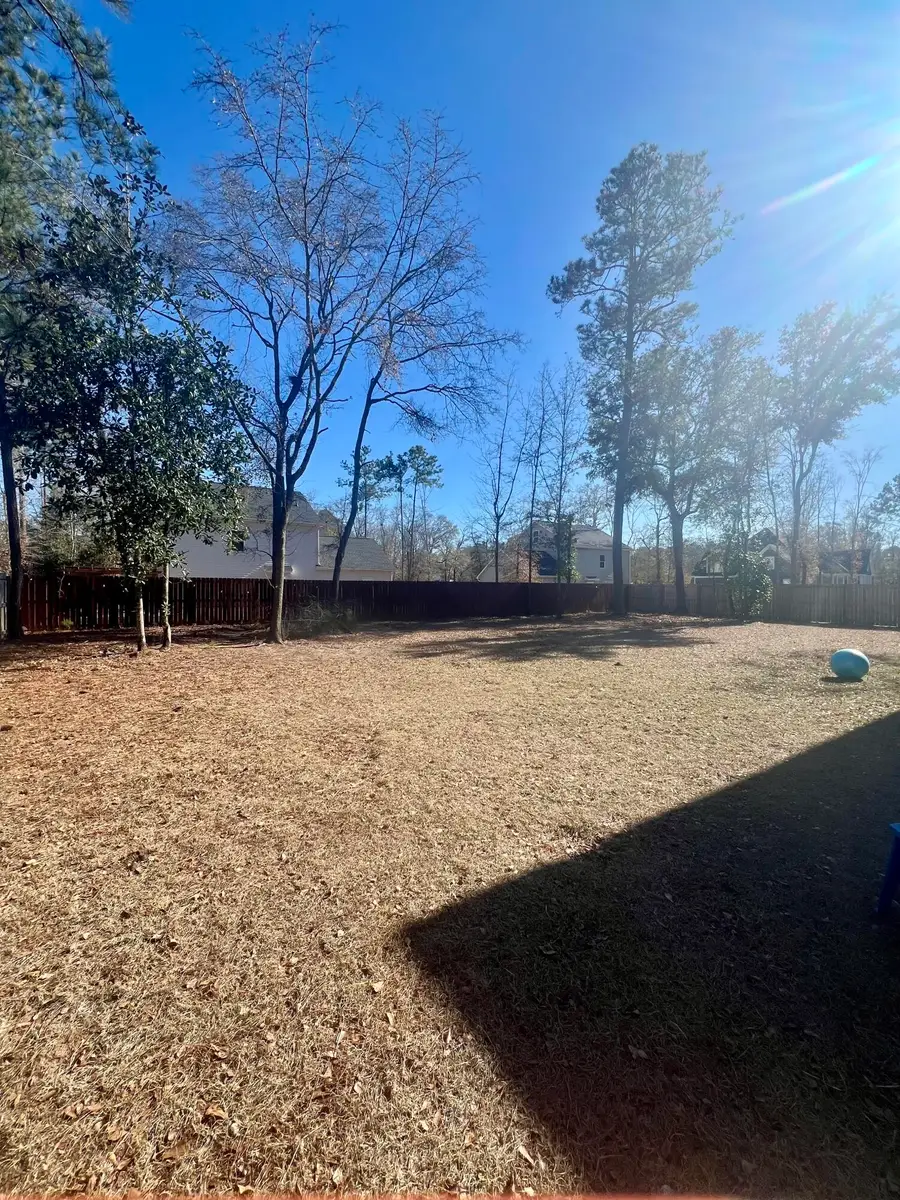 323 Capers Road, Walterboro, SC 29488 - #3